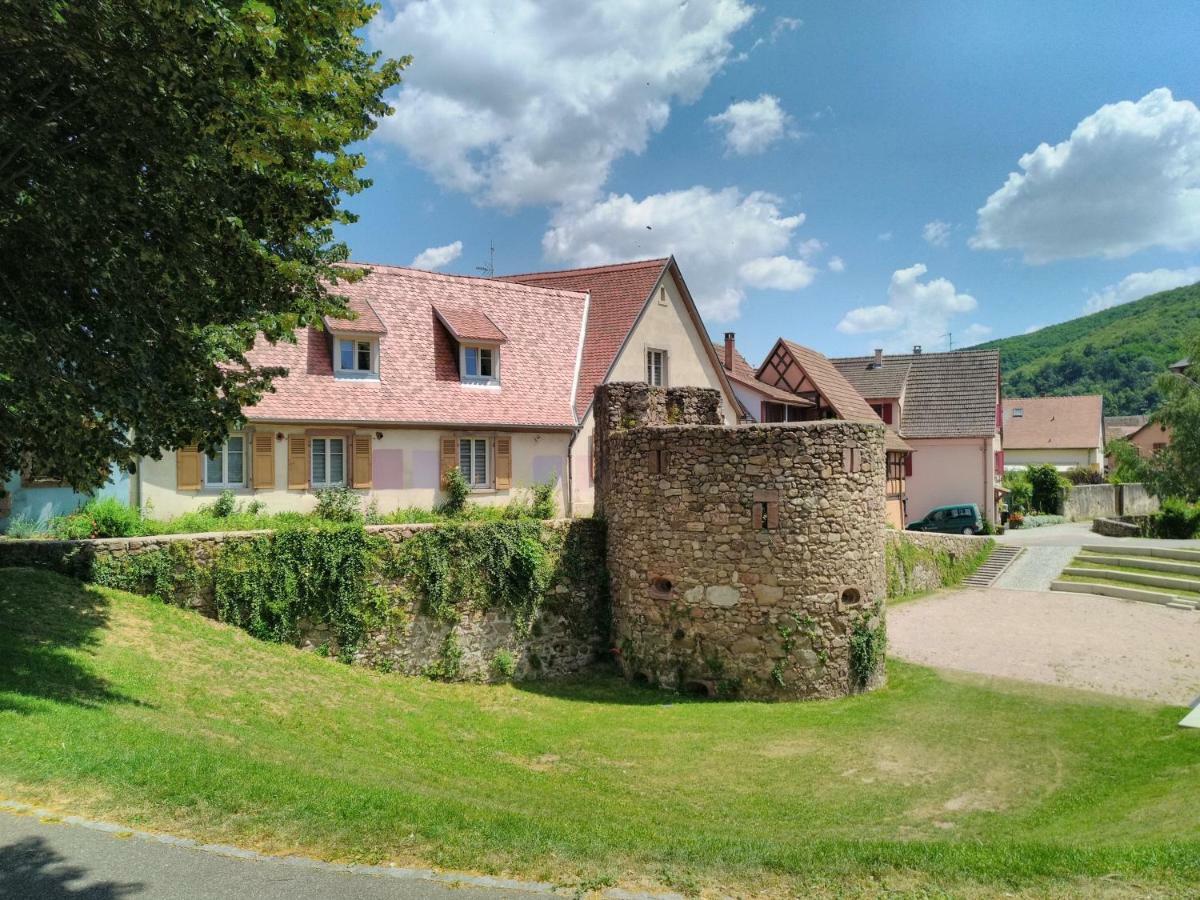 La Grande Terrine - Gites Les Potiers Kaysersberg-Vignoble ภายนอก รูปภาพ