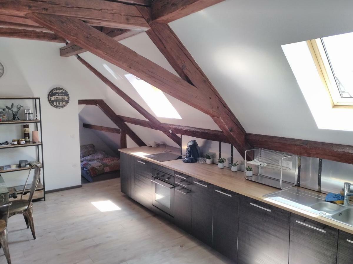 La Grande Terrine - Gites Les Potiers Kaysersberg-Vignoble ภายนอก รูปภาพ
