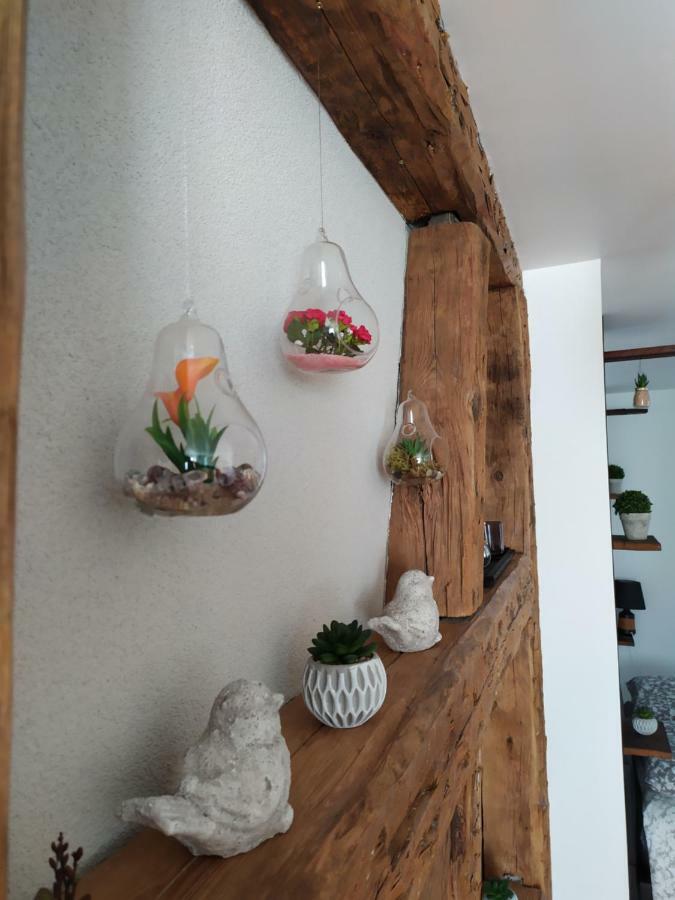 La Grande Terrine - Gites Les Potiers Kaysersberg-Vignoble ภายนอก รูปภาพ