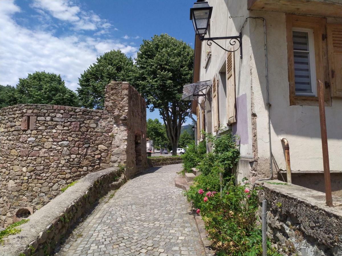 La Grande Terrine - Gites Les Potiers Kaysersberg-Vignoble ภายนอก รูปภาพ