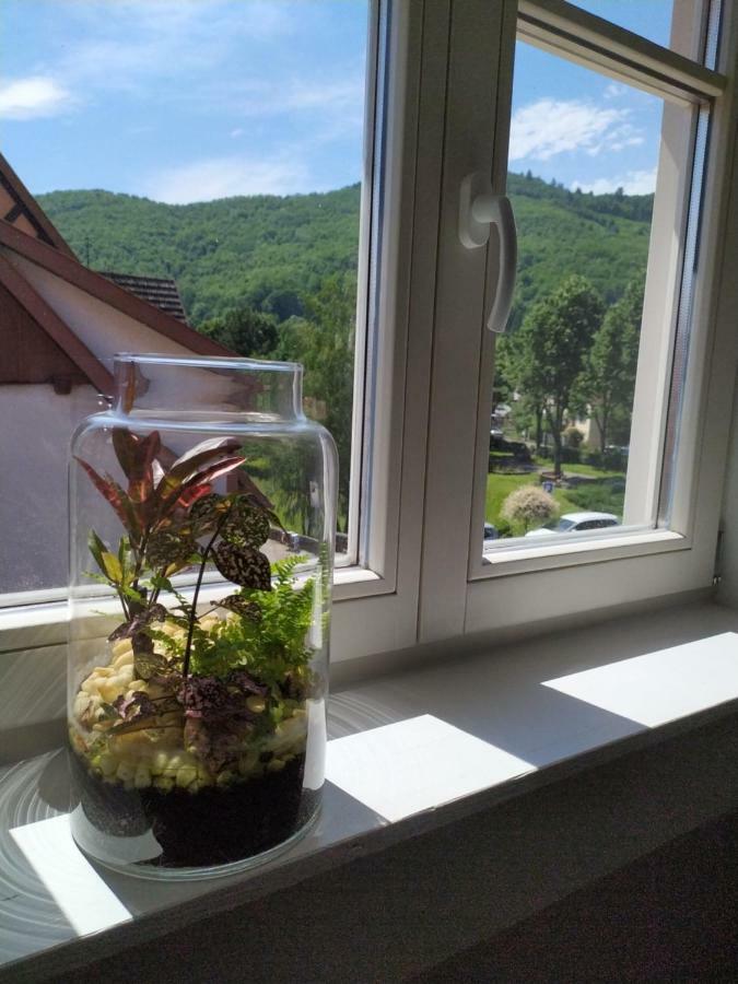 La Grande Terrine - Gites Les Potiers Kaysersberg-Vignoble ภายนอก รูปภาพ